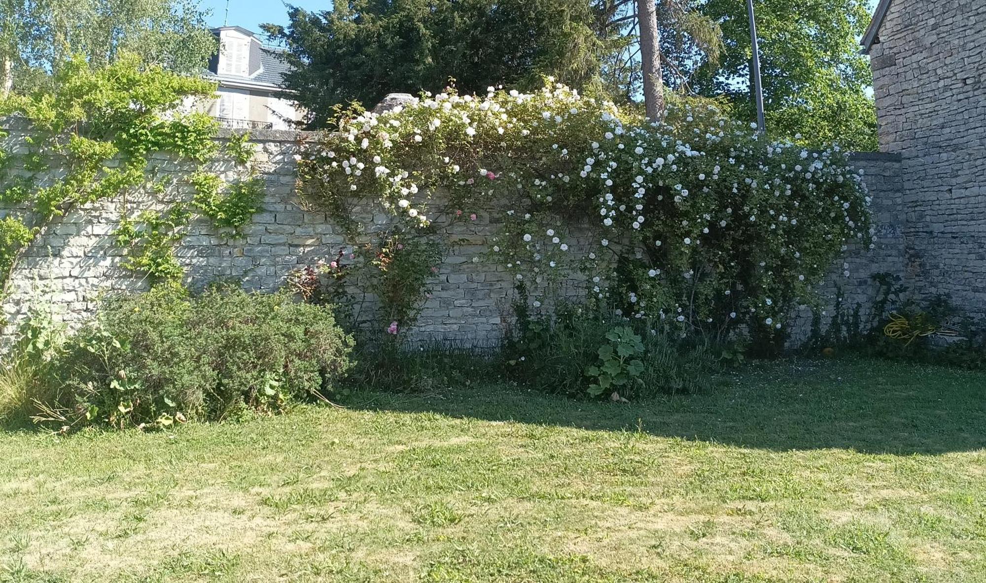 Chez Zaza Bed and Breakfast Stigny Exteriör bild